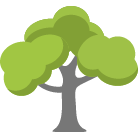 Lake Worth Tree Trimming